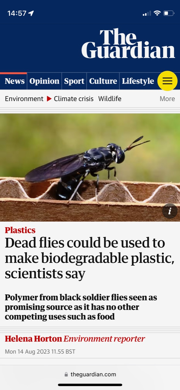 Screenshot from The Guardian with the headline “Dead flies could be used to make biodegradable plastic, scientists say” 
